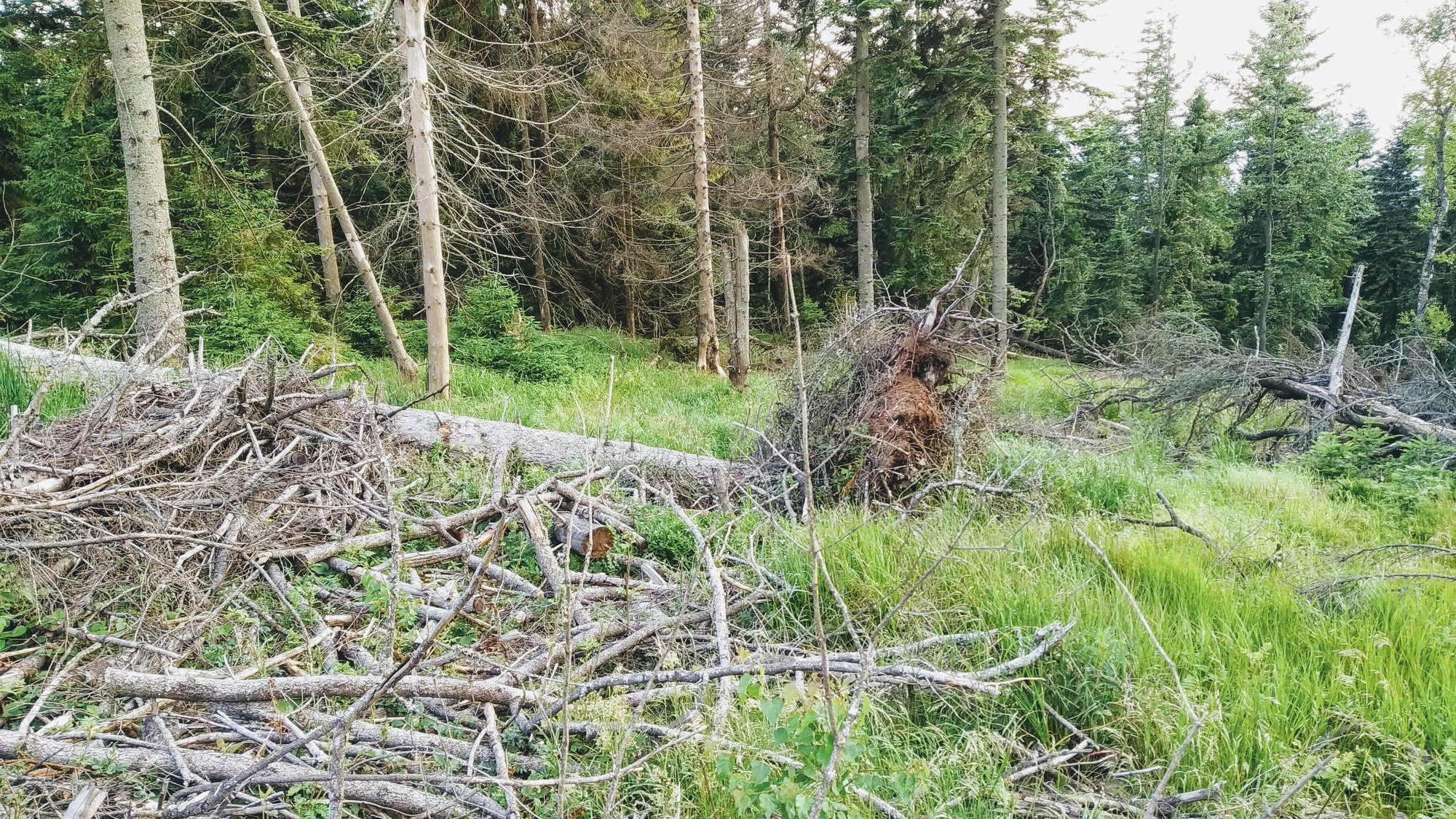 Deň 6 - začína polom, na mieste Vyšný Medzev.